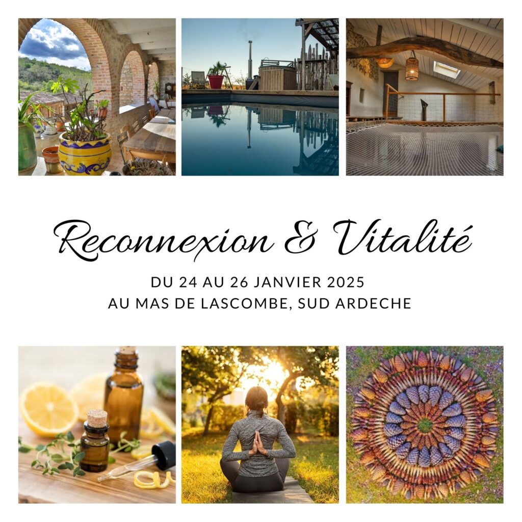 WE Reconnexion & Vitalité